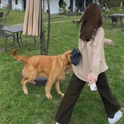 克里斯托多·哈德森